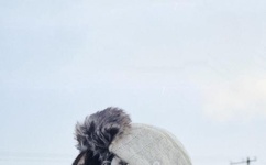 被男朋友C醒是一种怎样的体验